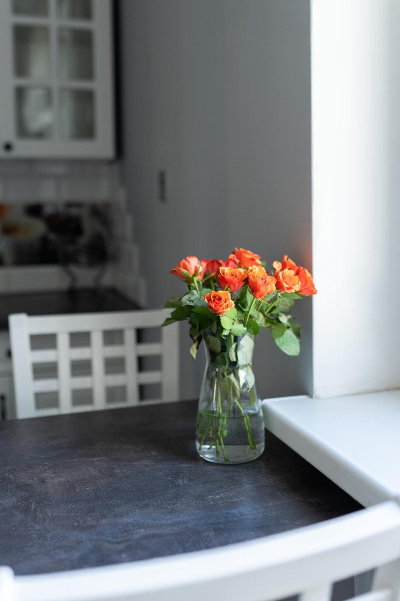 Apartament Na Polnej Chełmno 外观 照片